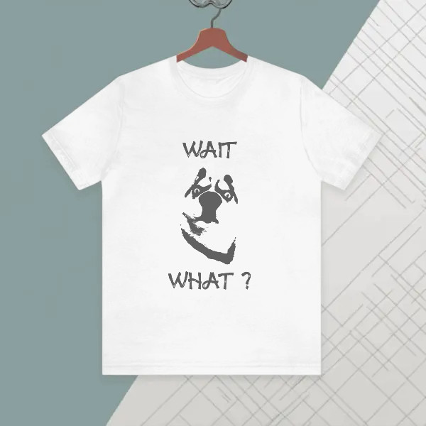 wait,... what funny internet meme
