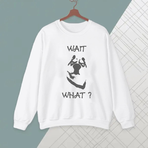 wait,... what funny internet meme