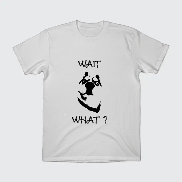 wait,... what funny internet meme