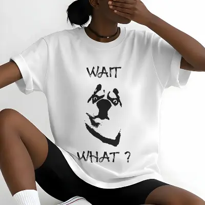 wait,... what funny internet meme