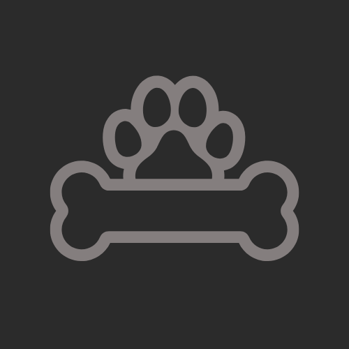 Artist Profile Photo